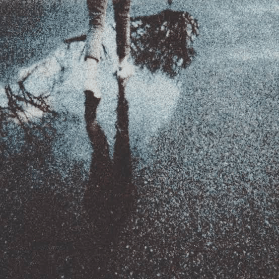 ブラックメタル初心者がディスクレビューをしてみた・デプレ編（2021