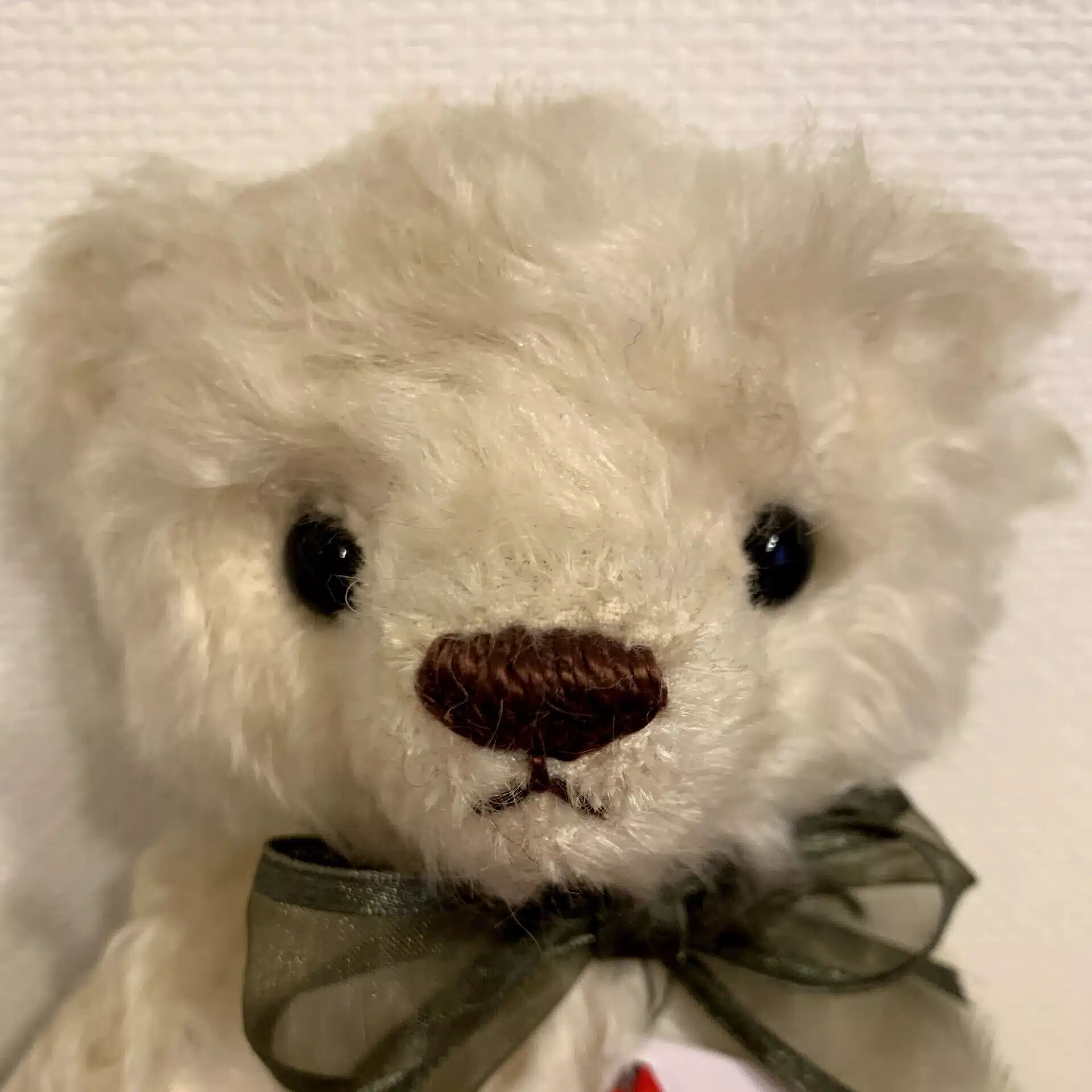 hachiatry