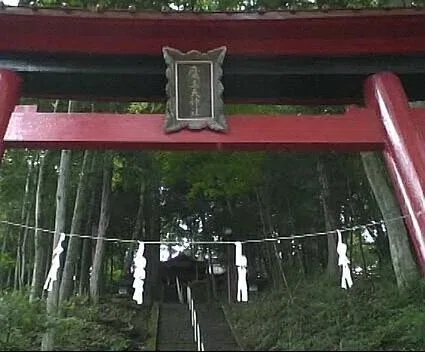 画像1