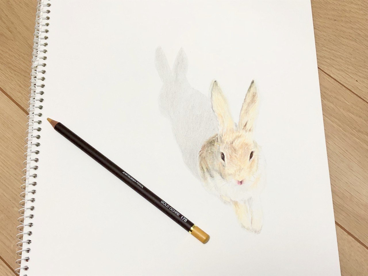 スケッチブックの上に立って見上げるうさぎの絵 Angelrabbits Note