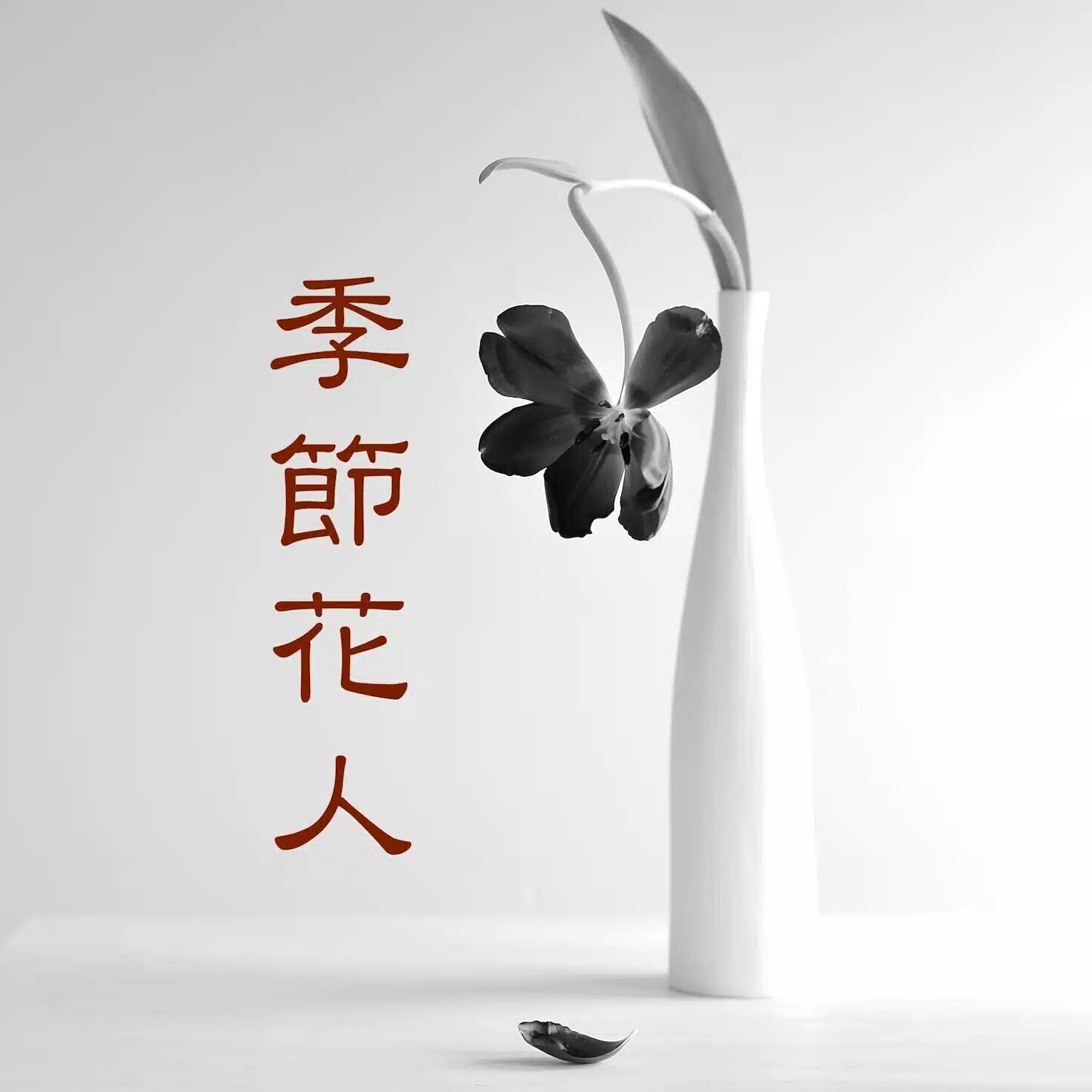季節花人 | Shoko Kondo