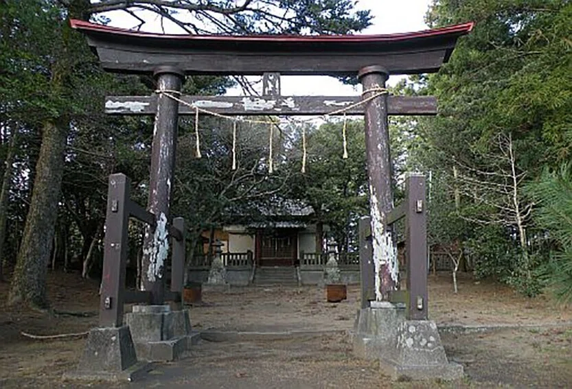 画像7