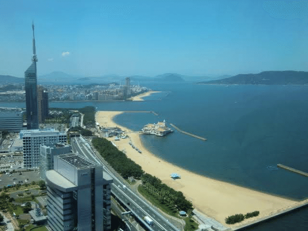 画像を拡大表示