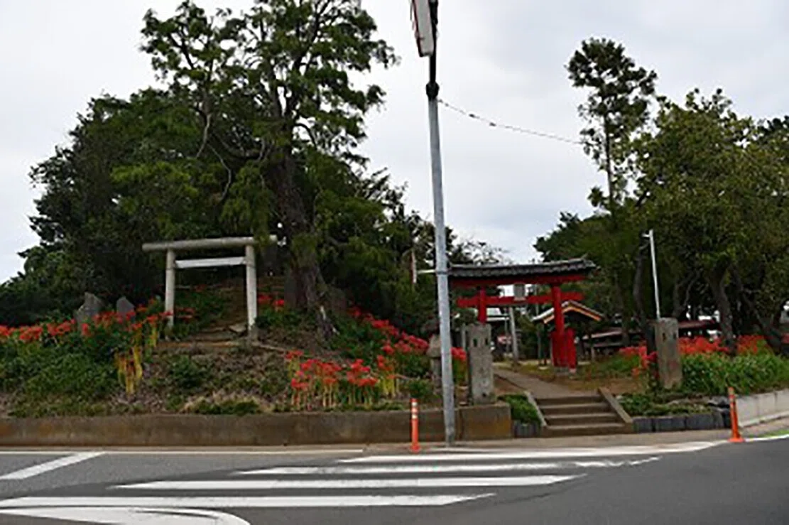 画像20