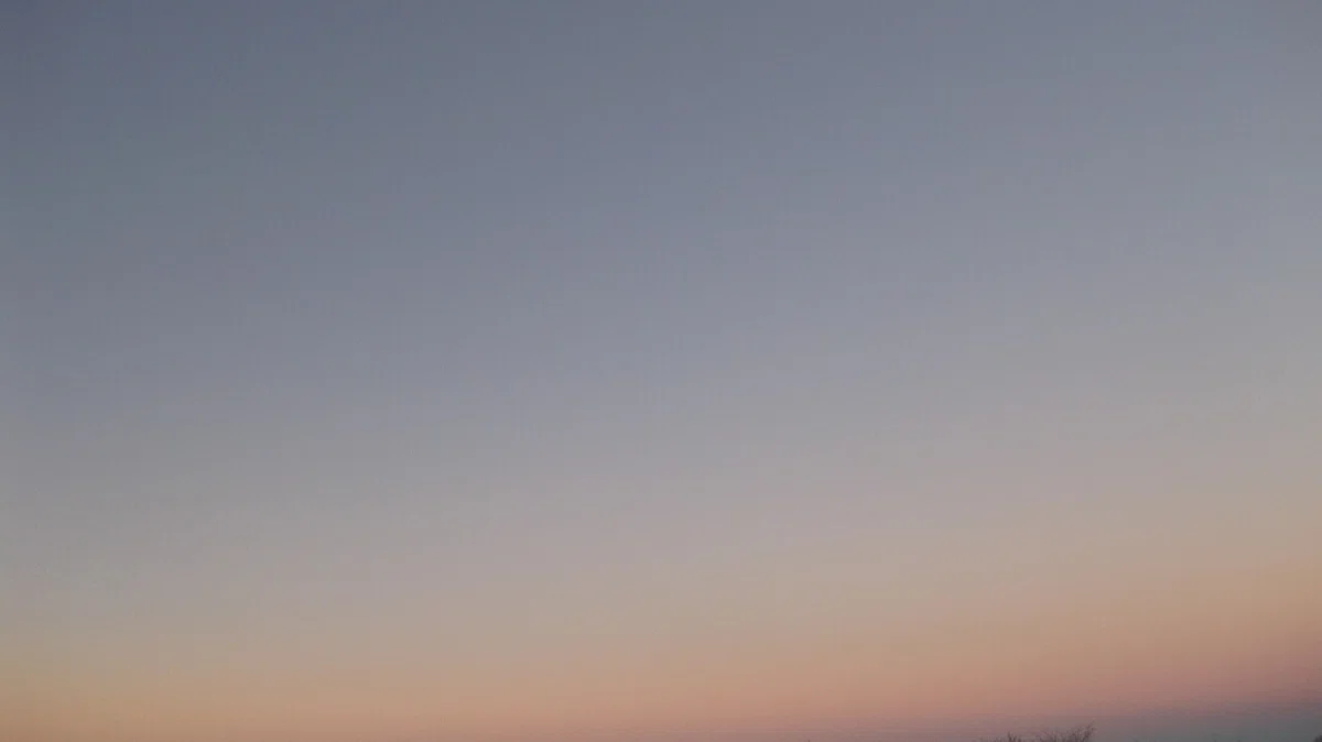 画像11