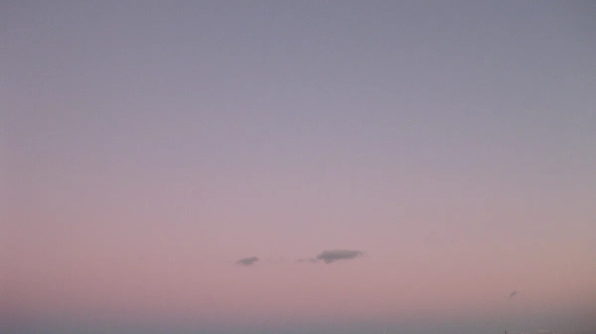 画像12