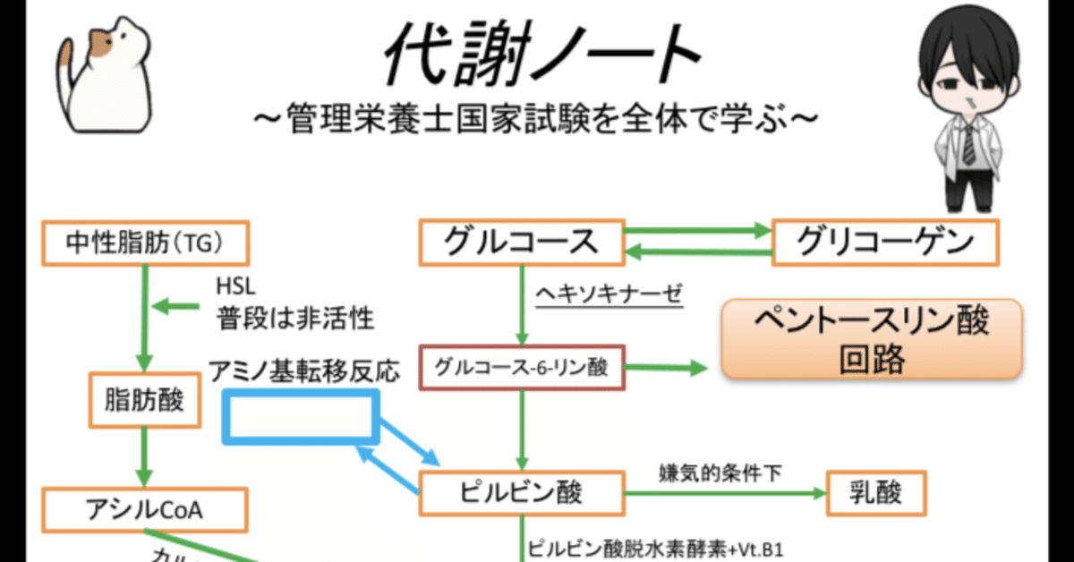 管理栄養士 楽天市場】【P最大13倍☆お買い物マラソン】【指定医薬部外品