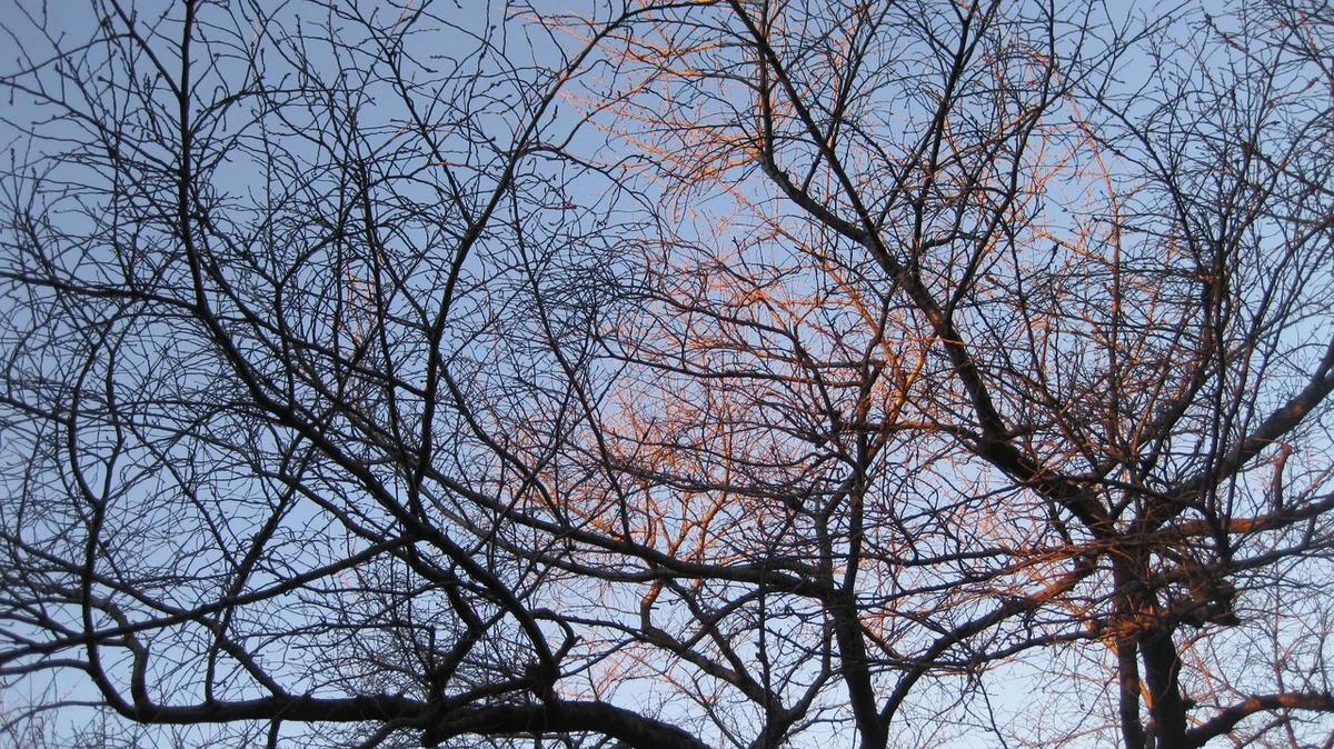 画像15
