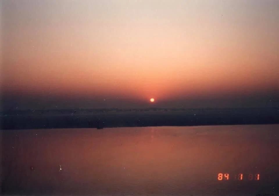 画像7