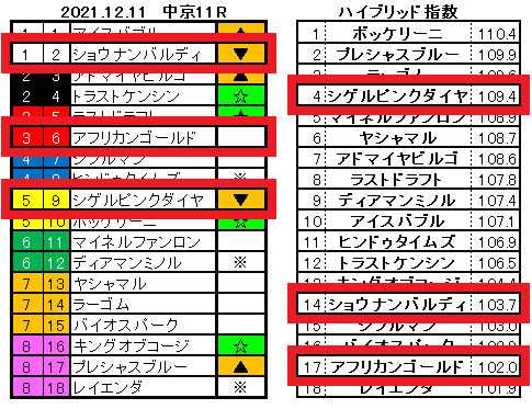 2021.12.11　中京11　中日新聞杯