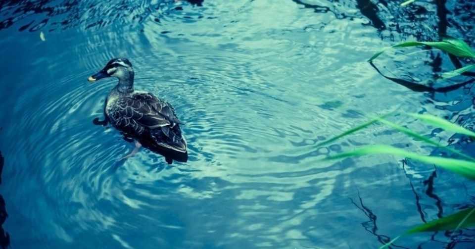 彼女持ちの男にハマって抜けれない話 おかゆちゃん Note