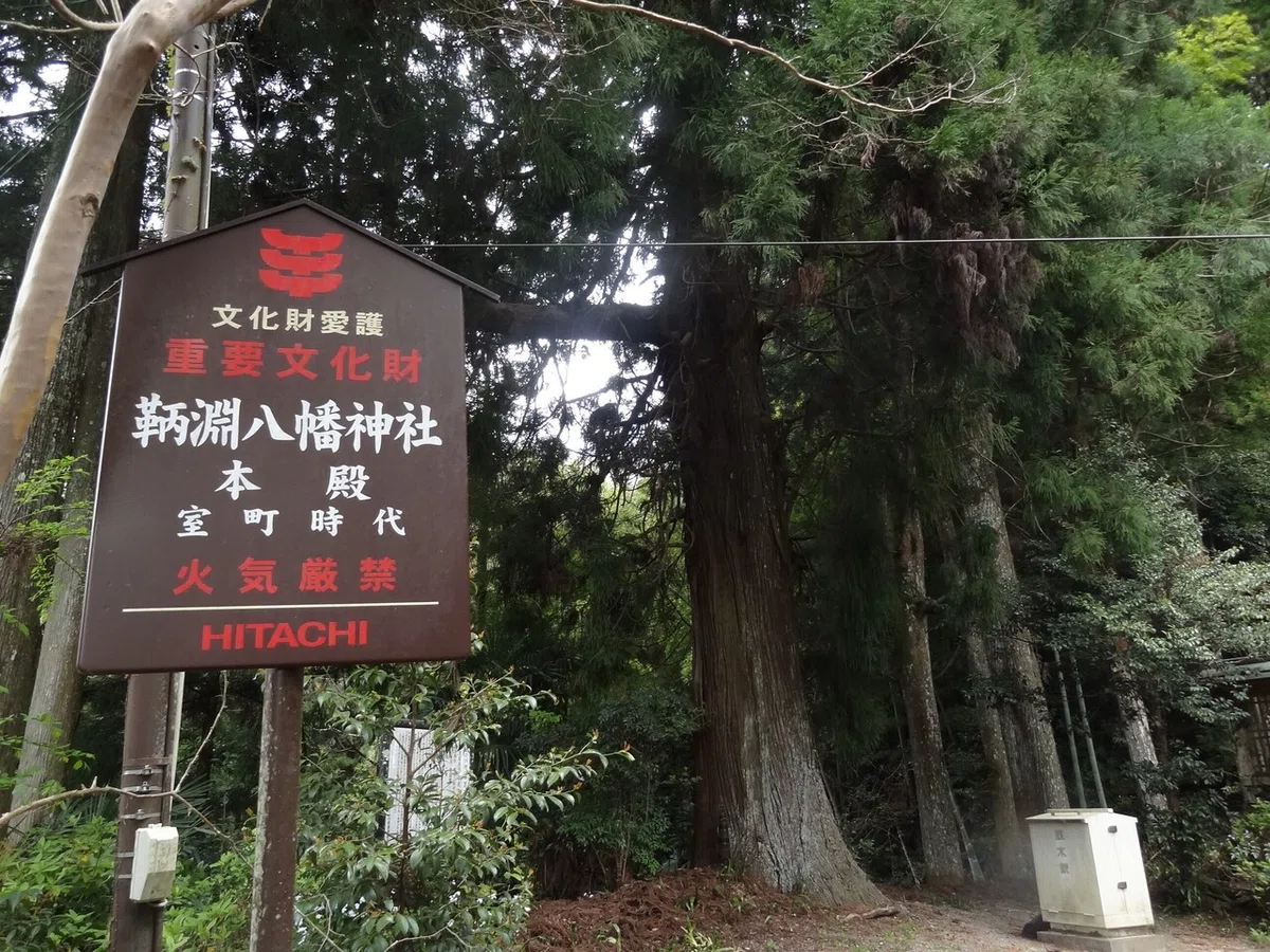 画像4
