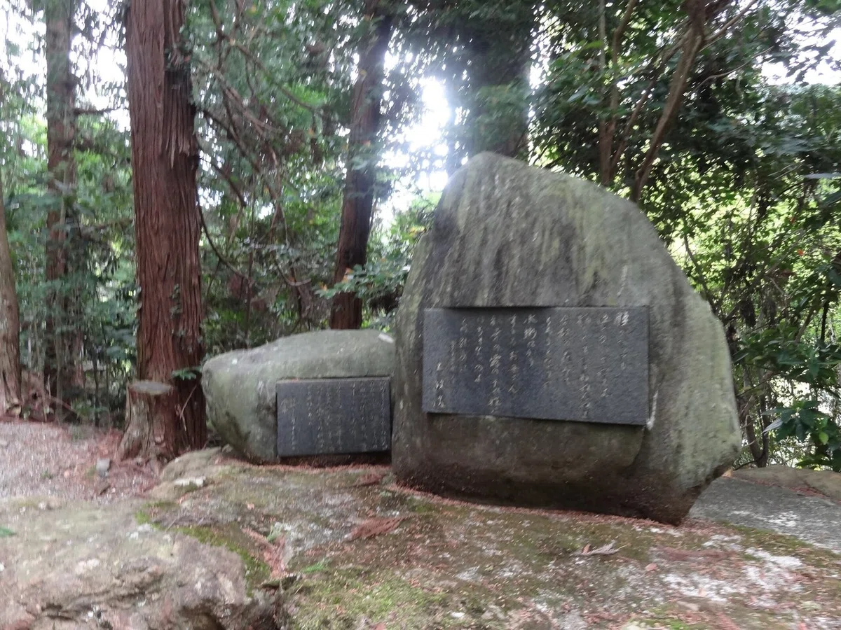 画像9