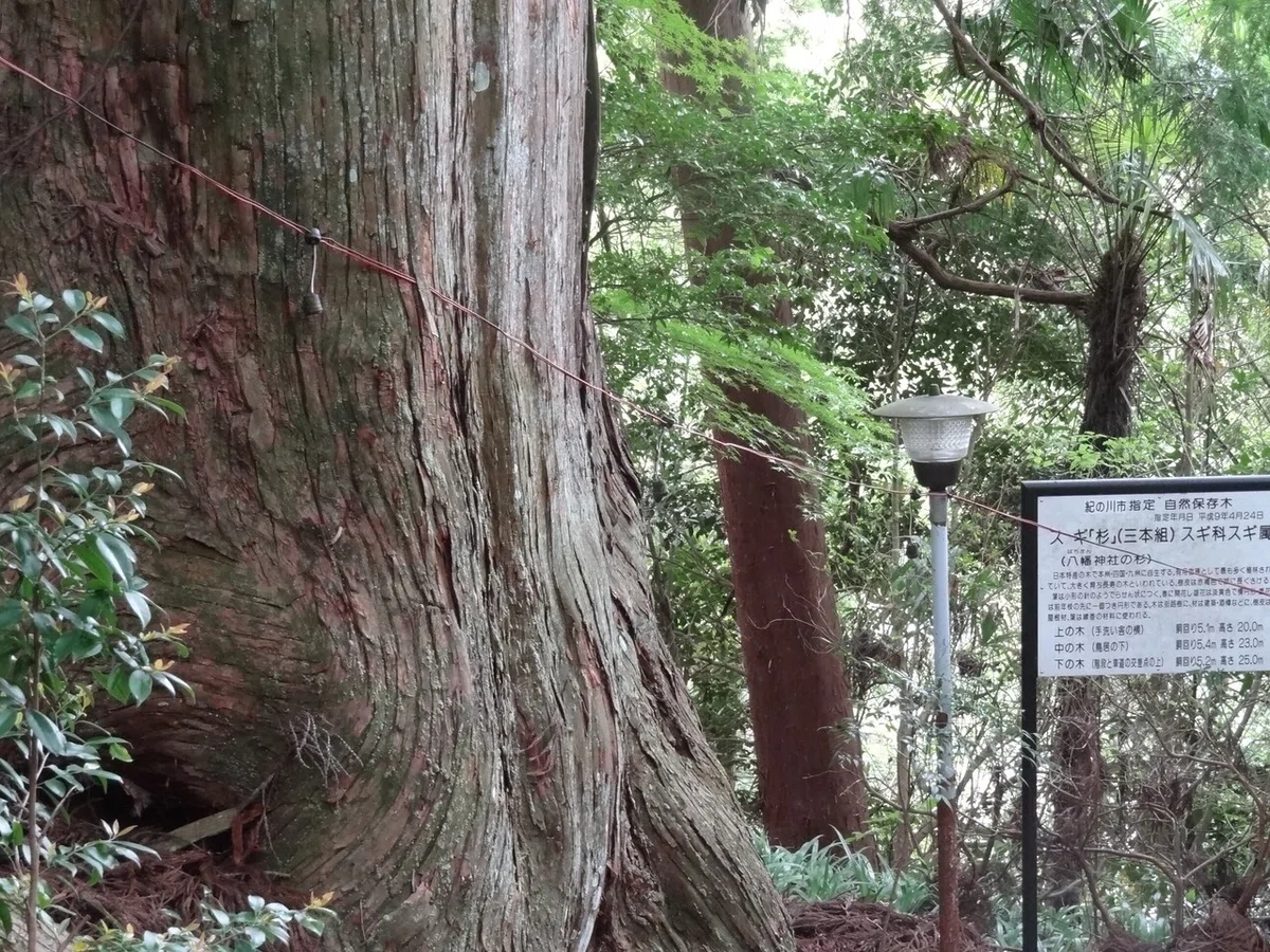 画像10