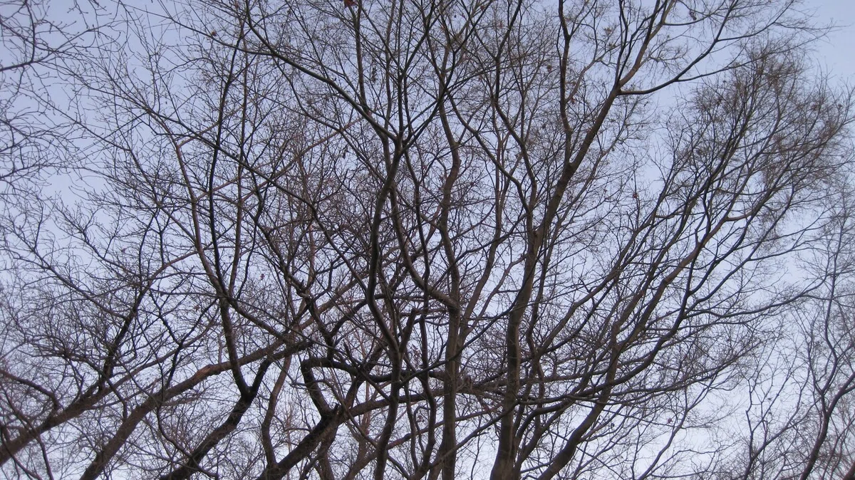 画像17