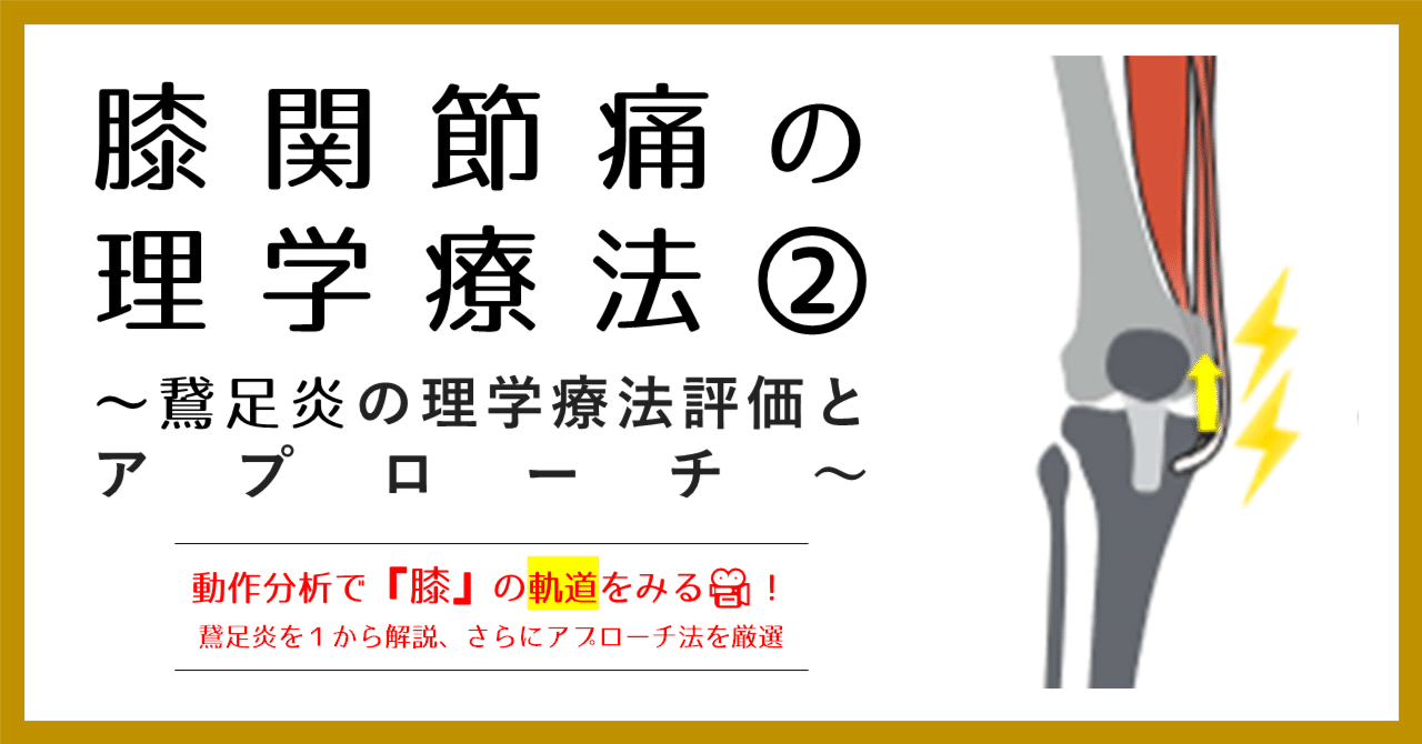 膝関節痛の理学療法②〜鵞足炎の理学療法評価とアプローチ〜【サブスク