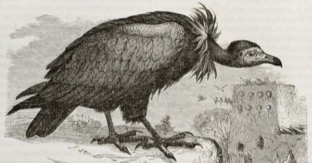 f26eb270aff57bf479fc100bcccc1c