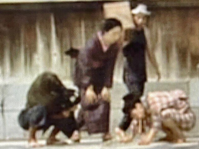 はかせ日記 22 1 4 北斎漫画 再見 我が映画デビューシーン発掘 ベンガル料理 トルカリ のチキンカレー 小杉湯となりでマキタスポーツの小説 雌伏三十年 ゲラ読了 水道橋博士 Note