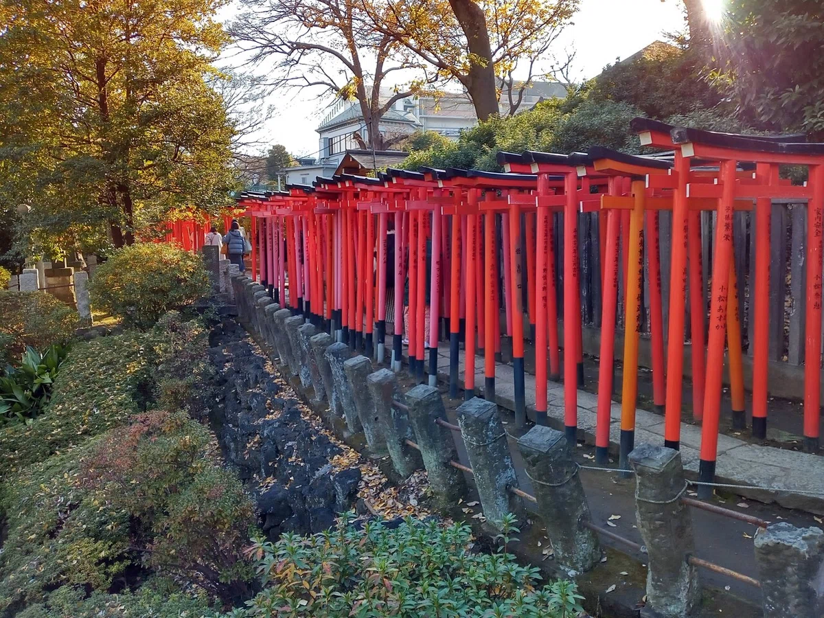 画像5