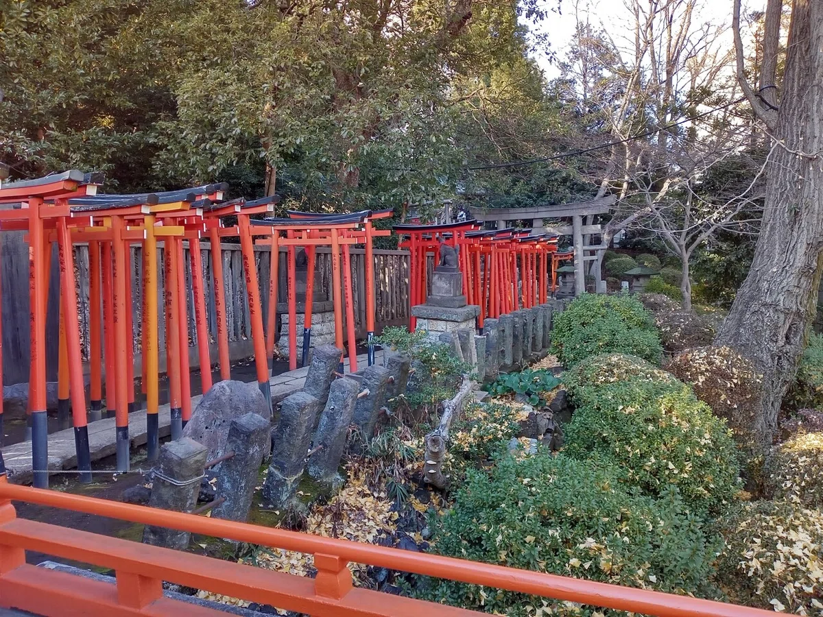画像6