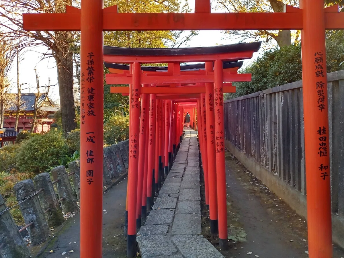 画像7