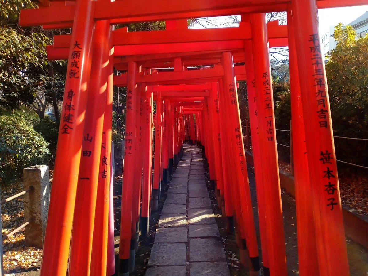 画像8