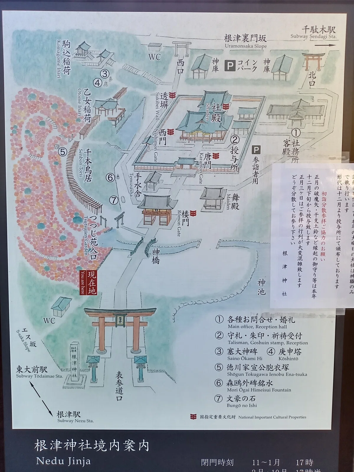 画像4