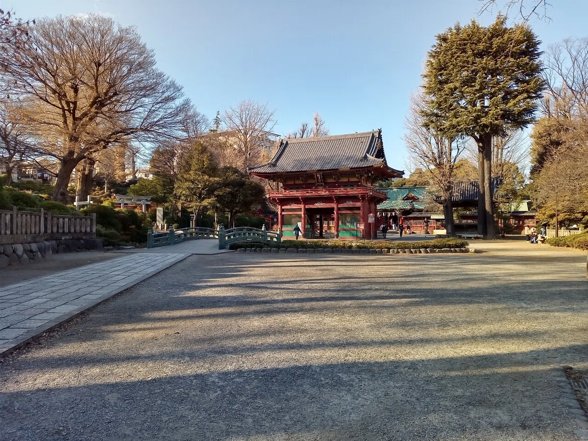画像5