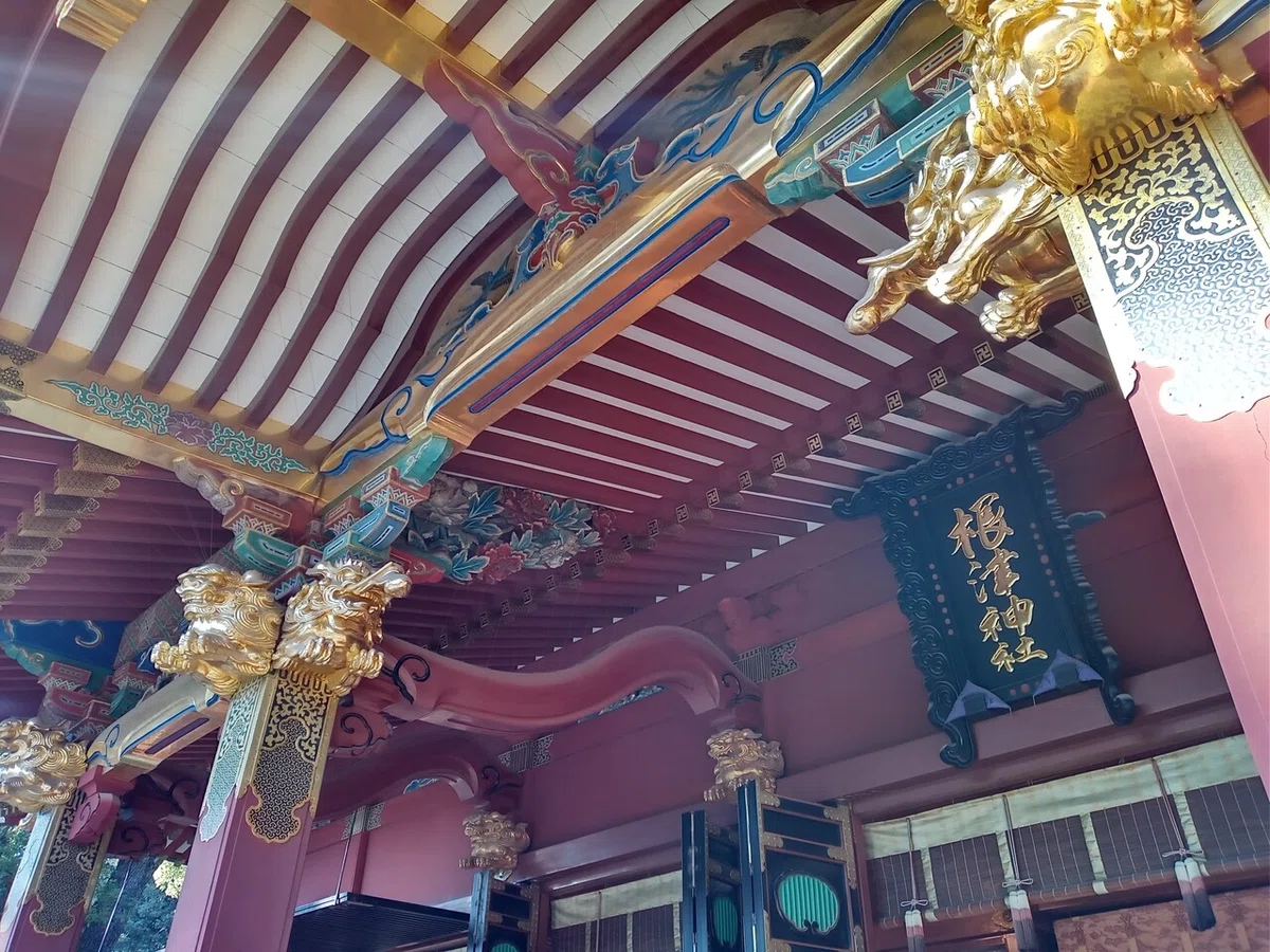 画像5