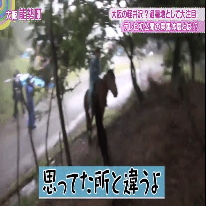 春名真依のしなやかさ・exたこやきレインボーの現在｜もんじ