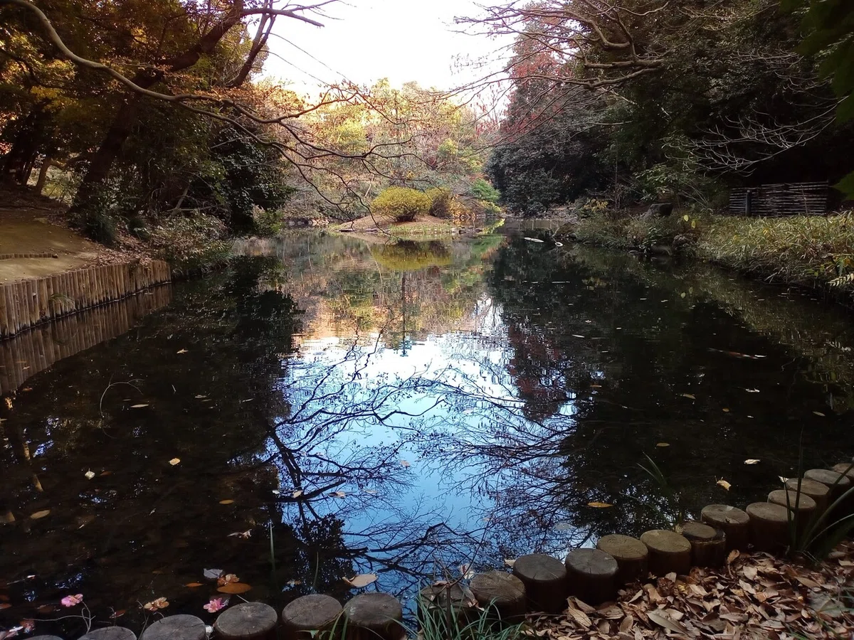 画像4