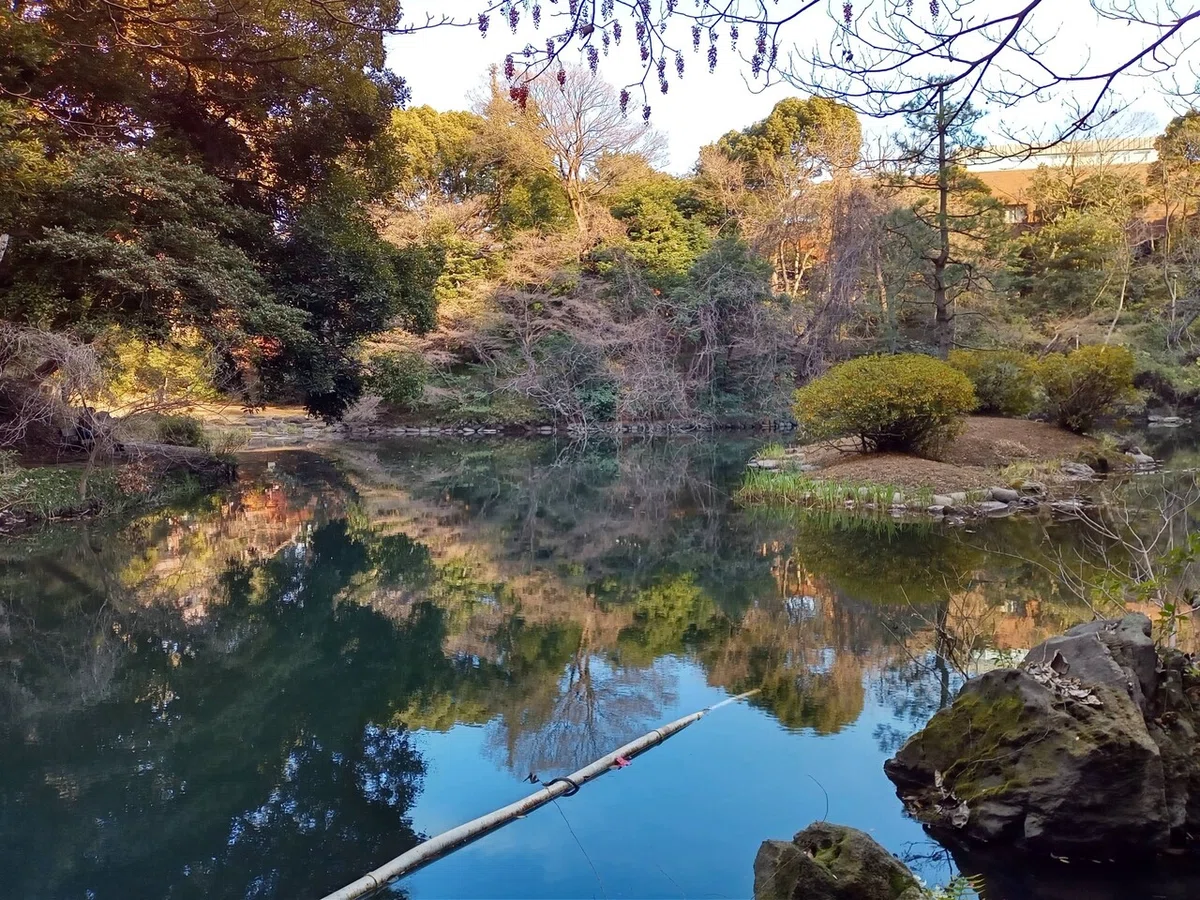 画像6