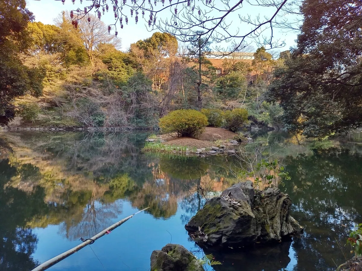 画像7