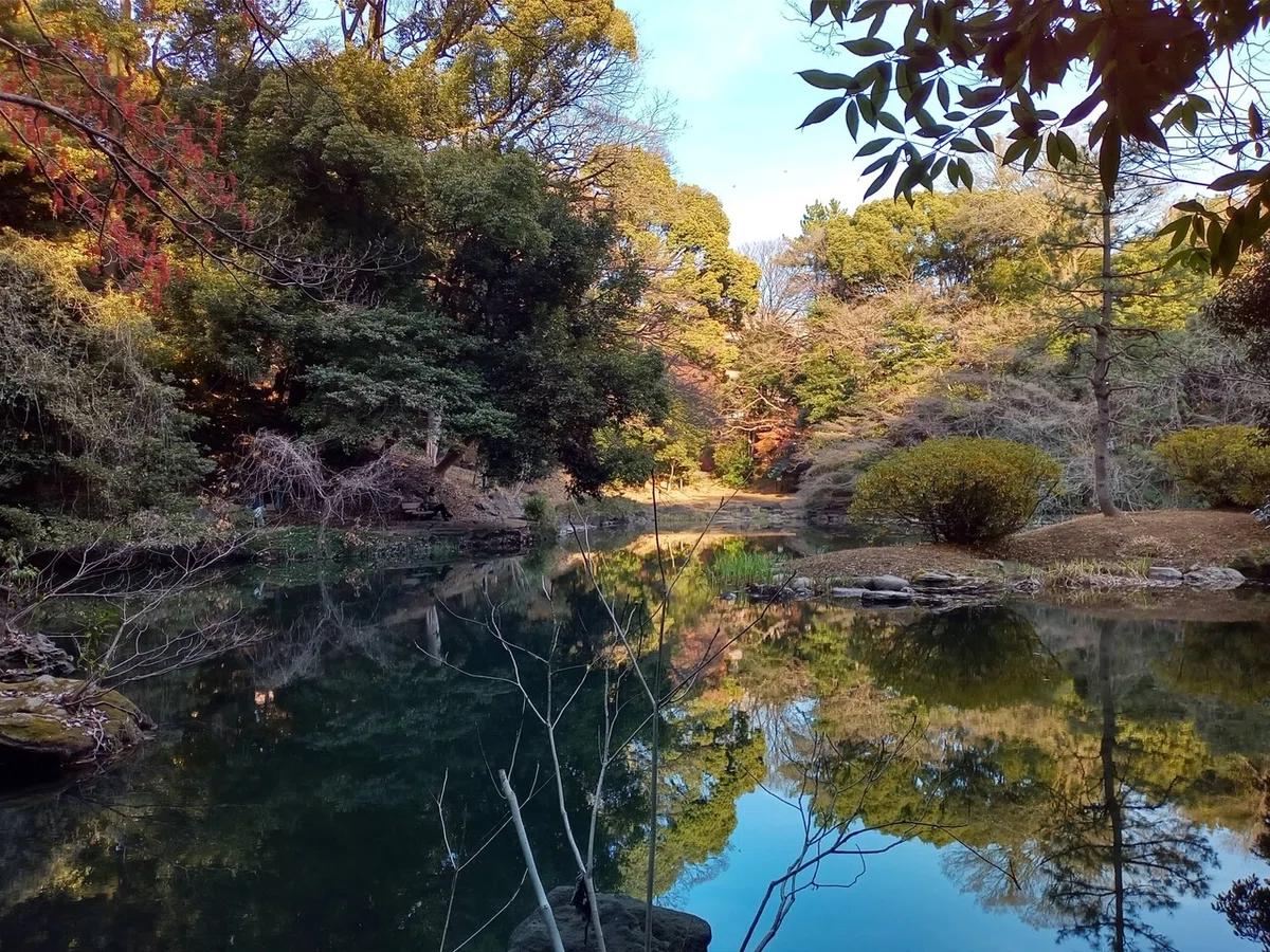 画像8