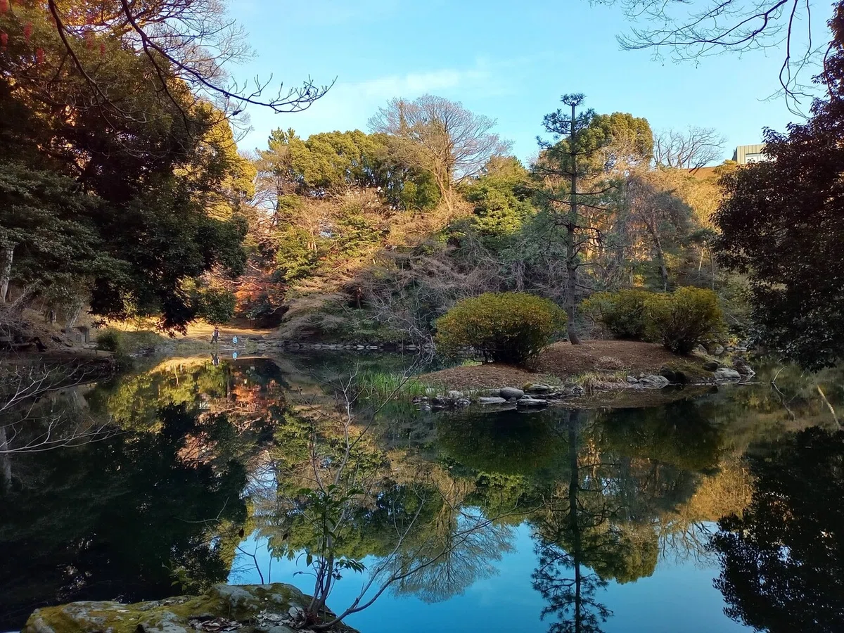 画像9