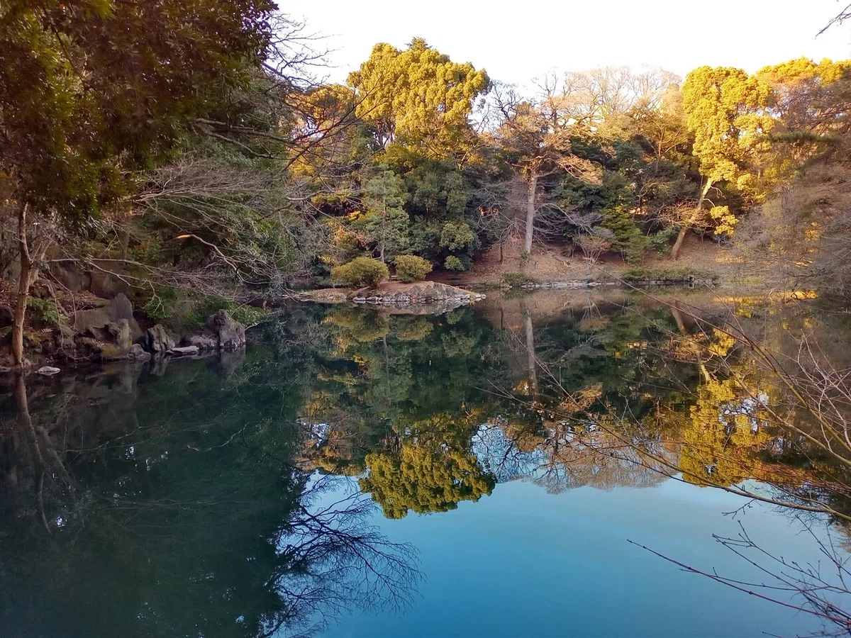 画像11