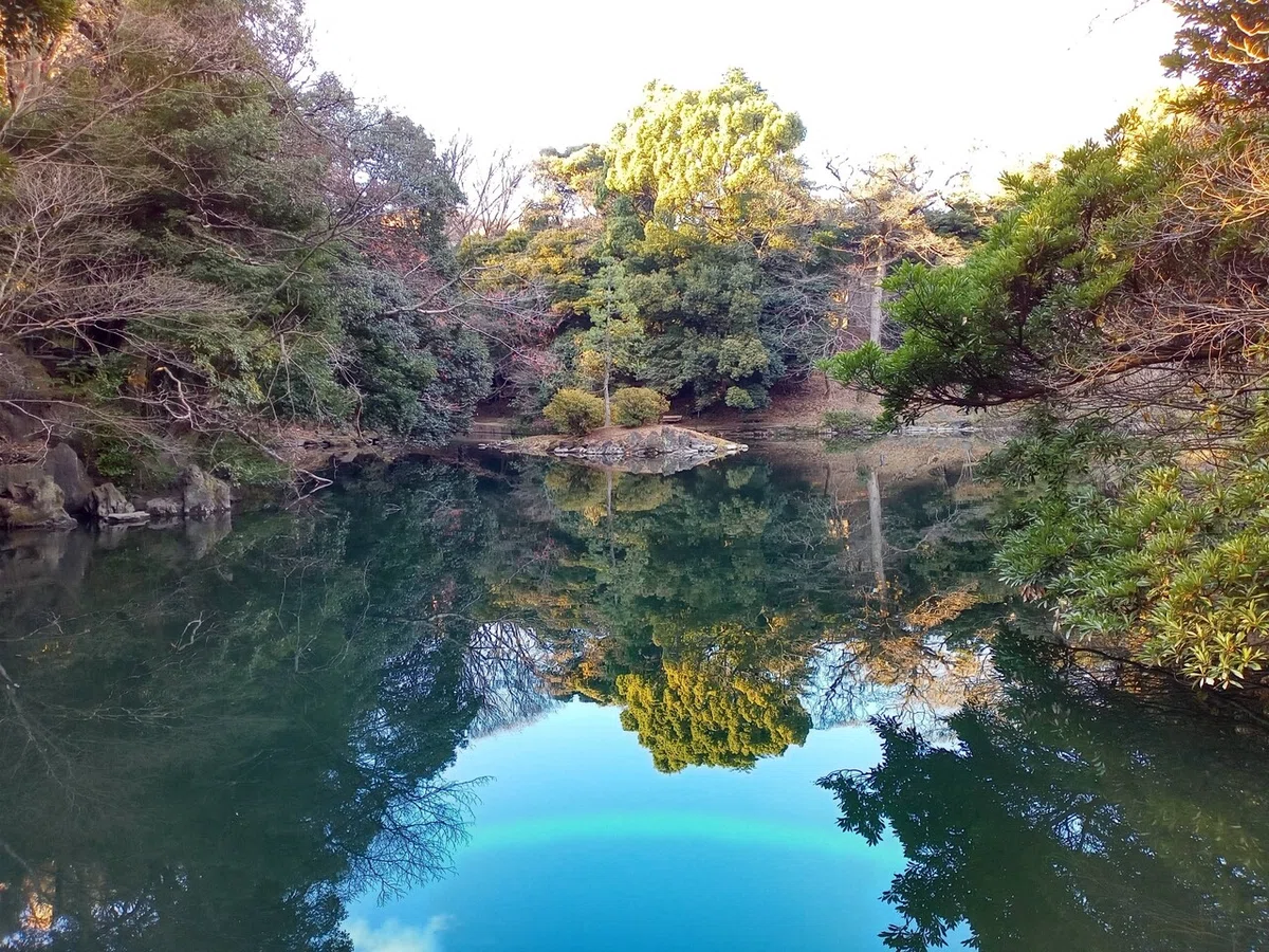 画像12