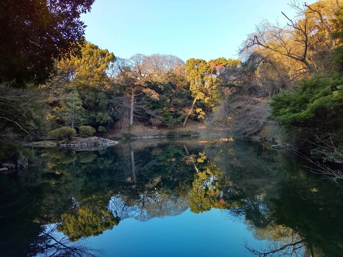 画像13