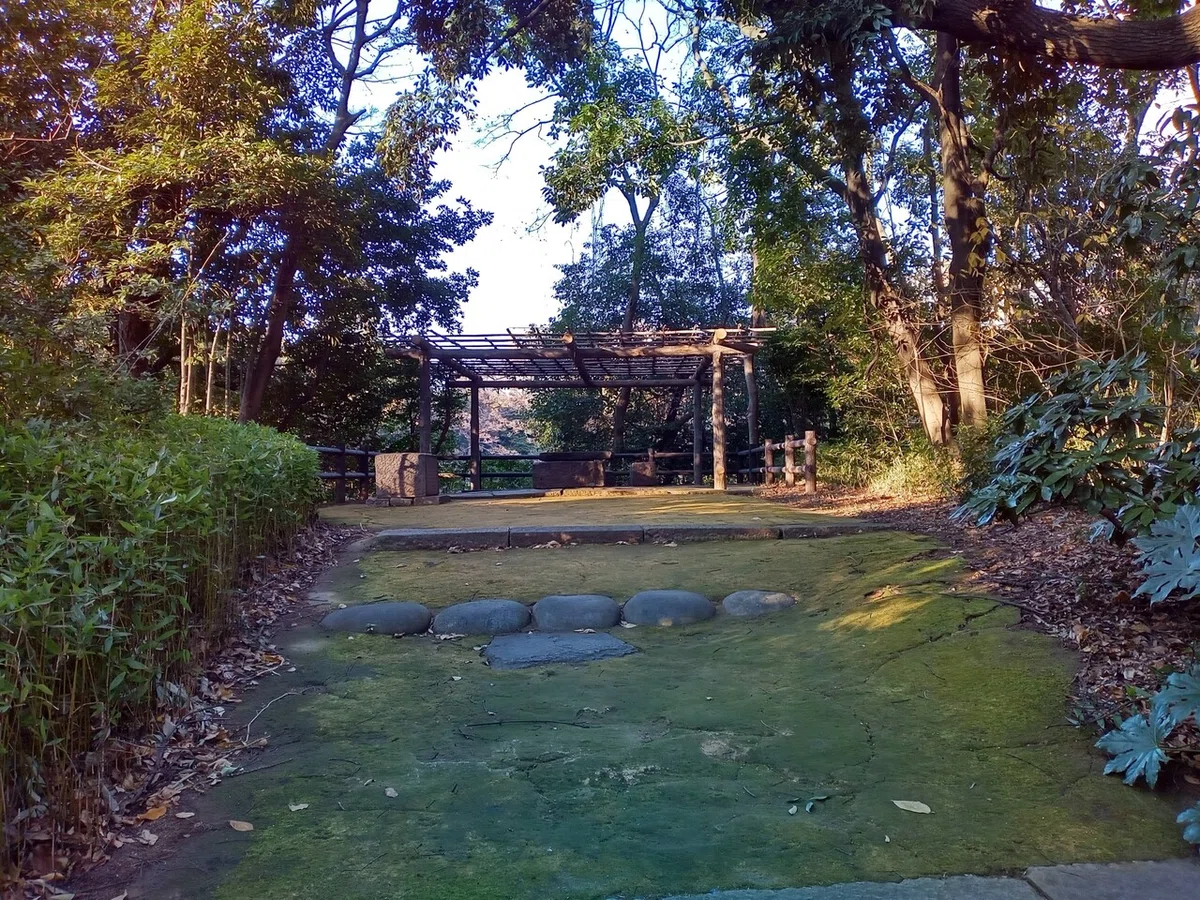 画像14