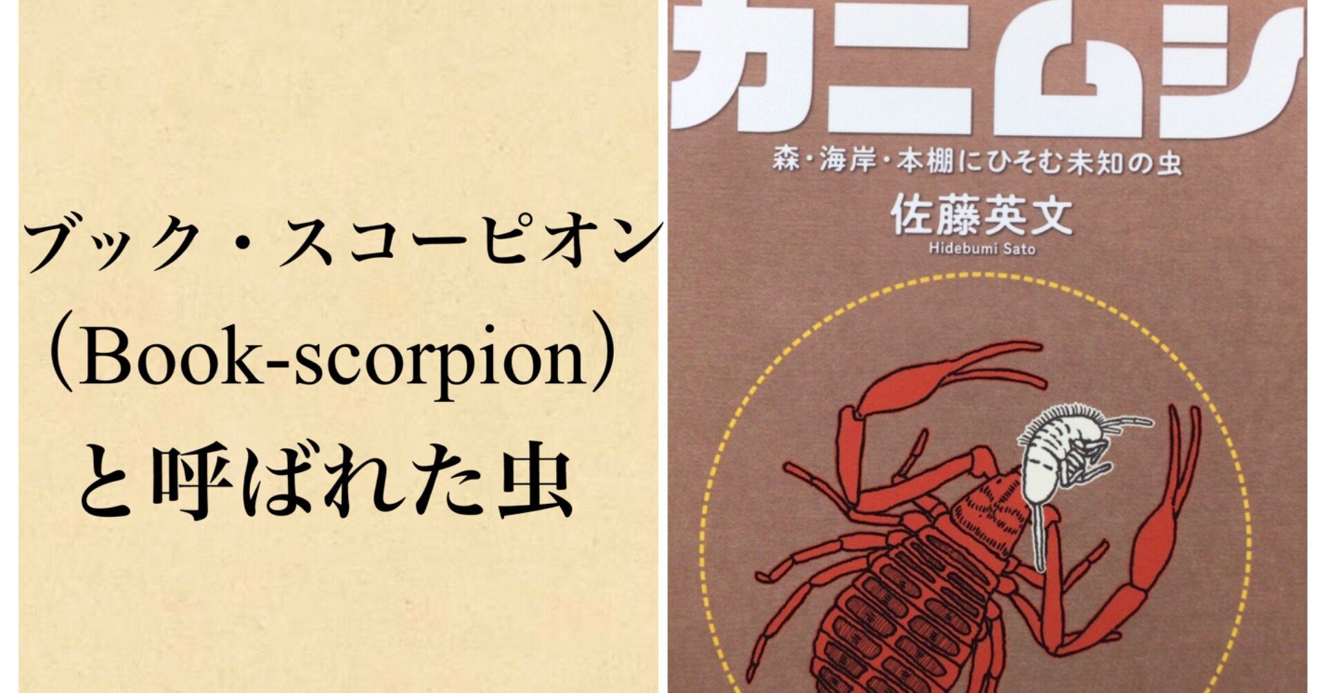 ブック スコーピオン Book Scorpion と呼ばれた虫 本ノ猪 Note