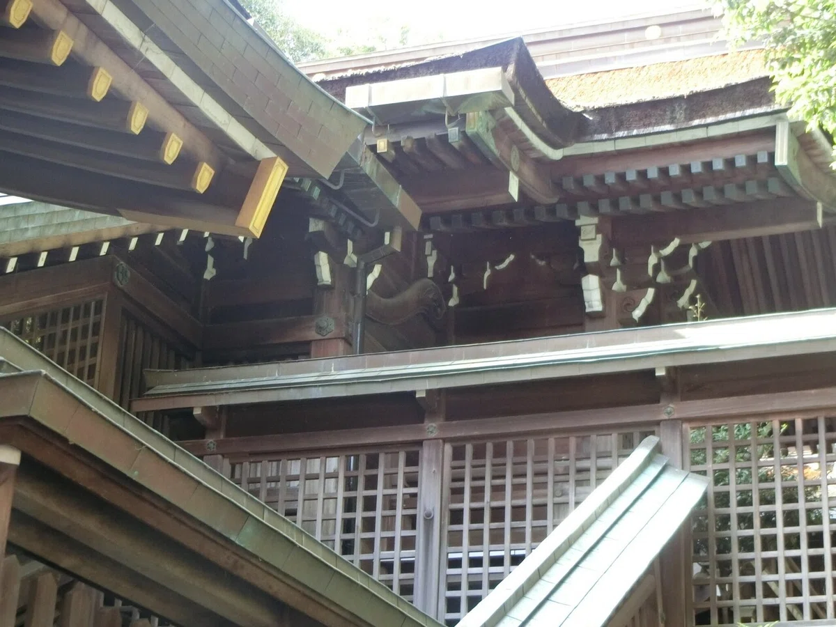 画像4