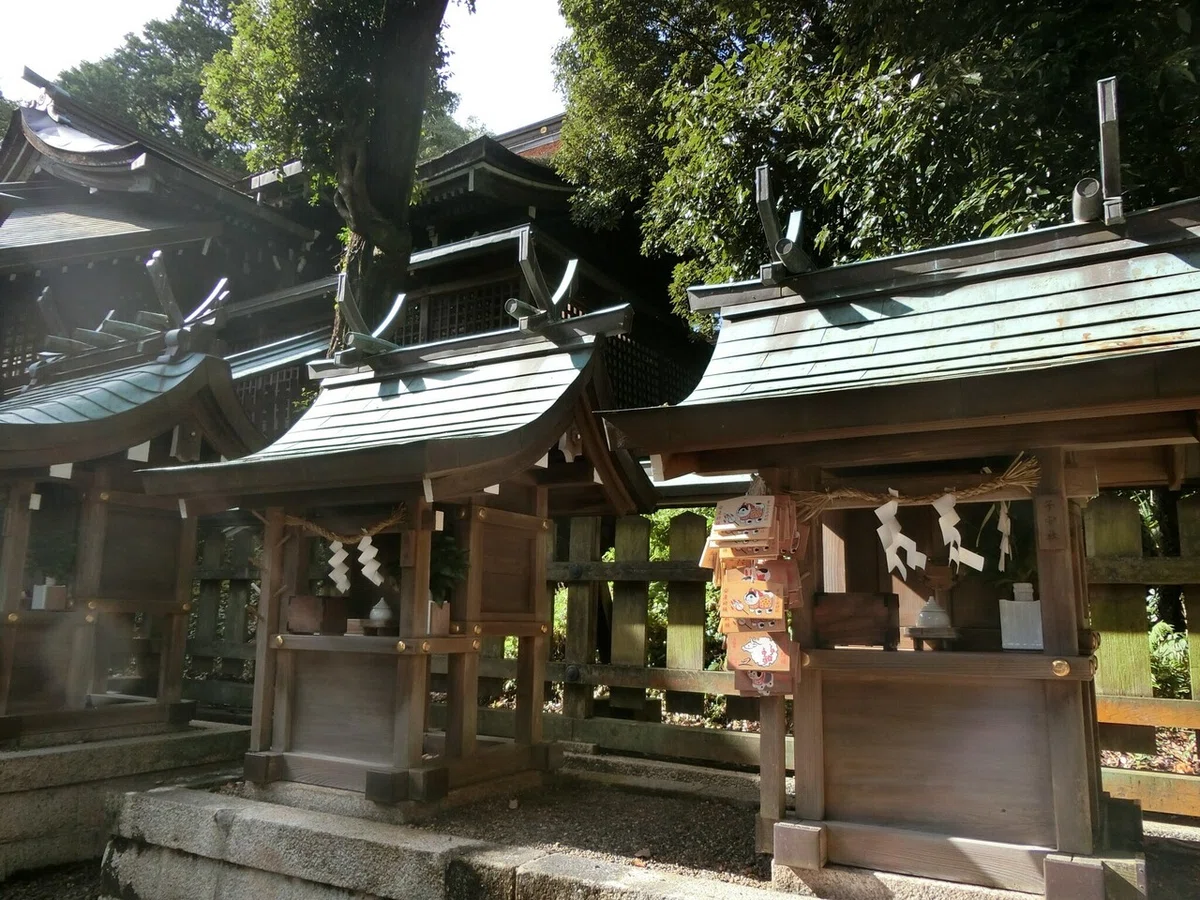 画像7
