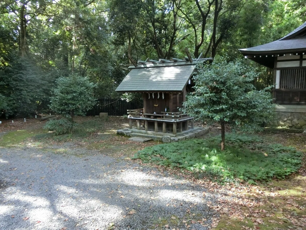 画像8