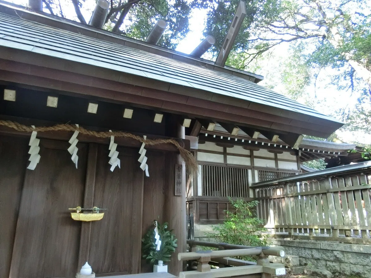 画像9