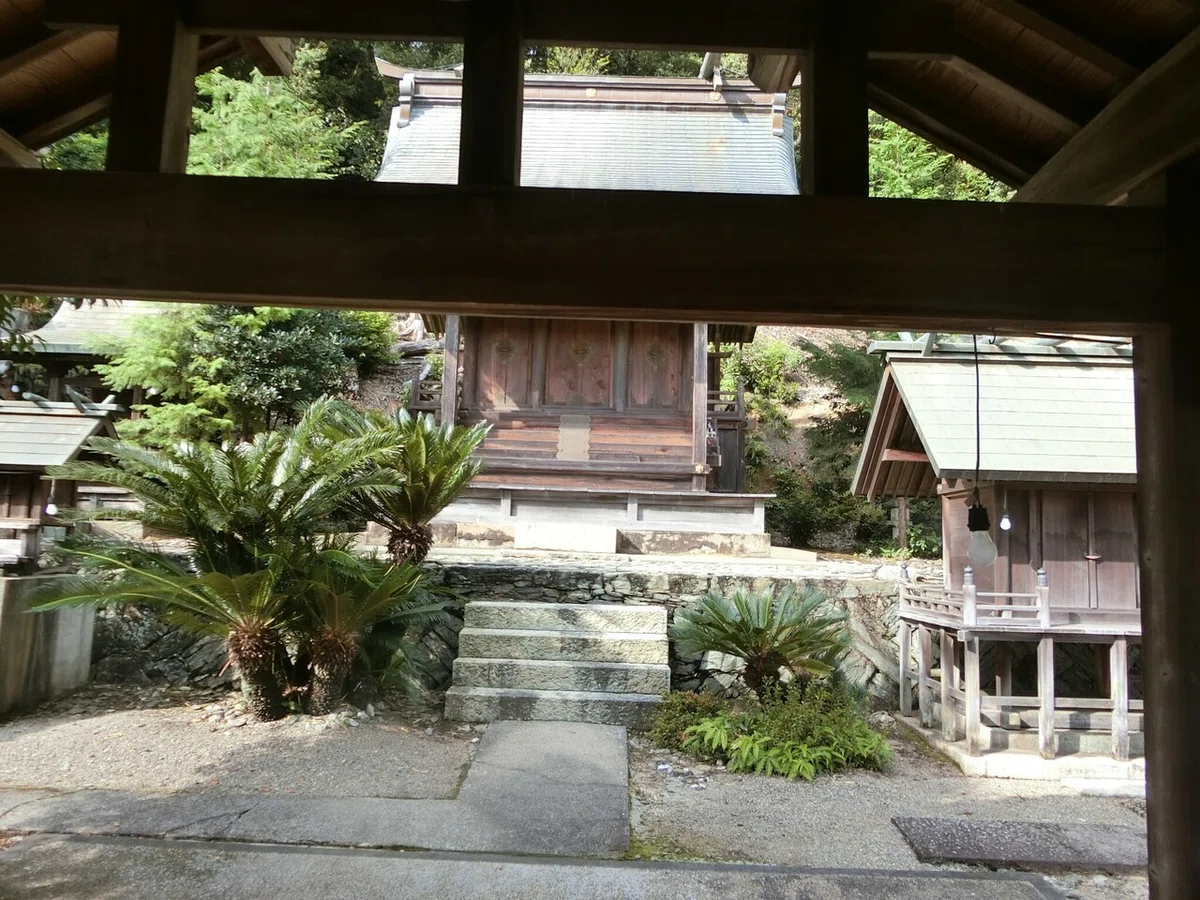 画像4