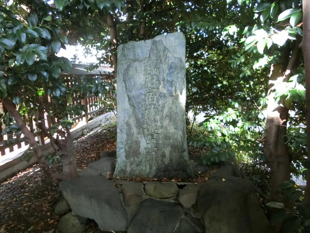 画像8