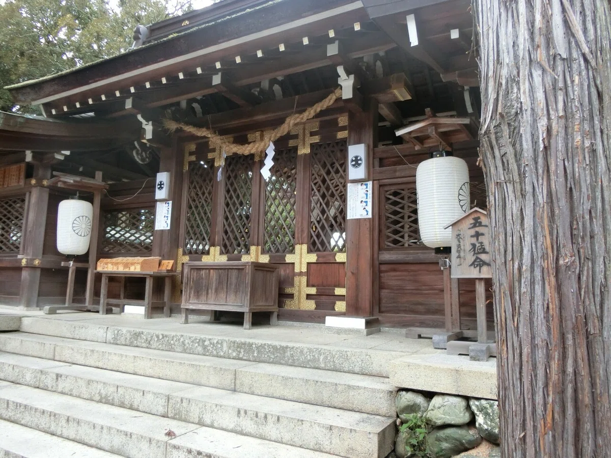 画像6