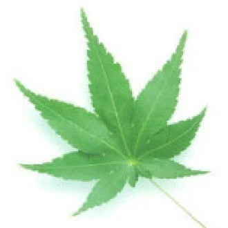 青木詠一