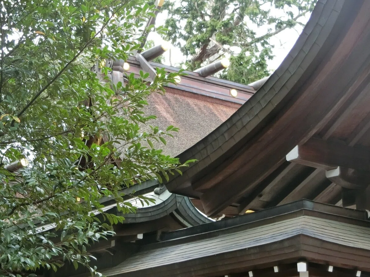 画像15