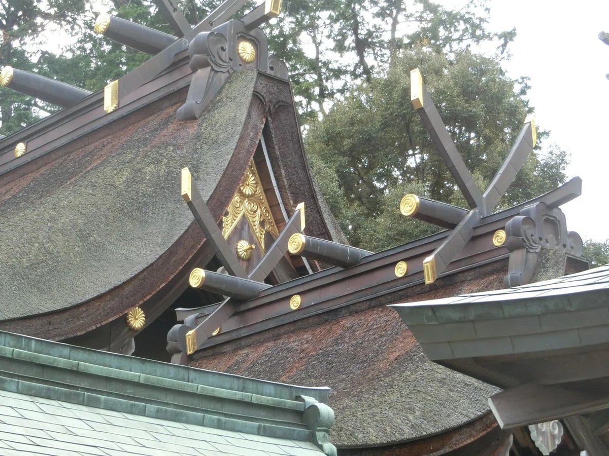 画像16